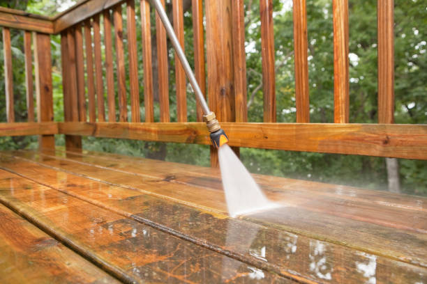 Best Fence Cleaning and Maintenance in Finderne, NJ